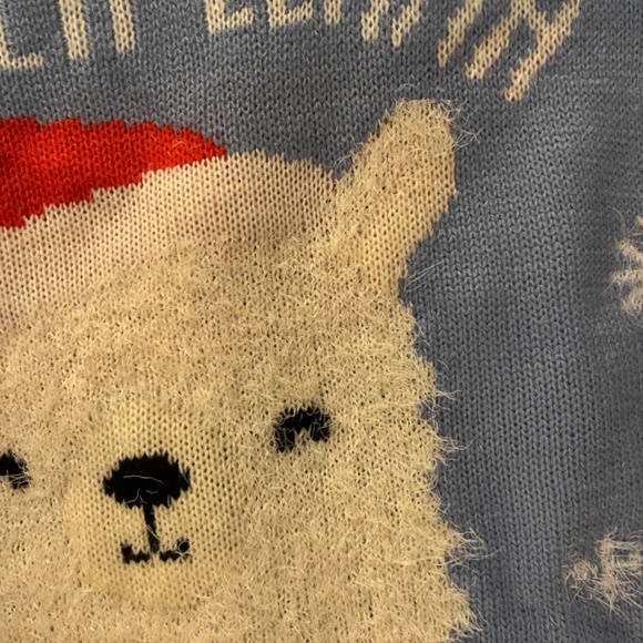 Aeropostale Christmas/Winter Sweater - Picture 3 of 6
